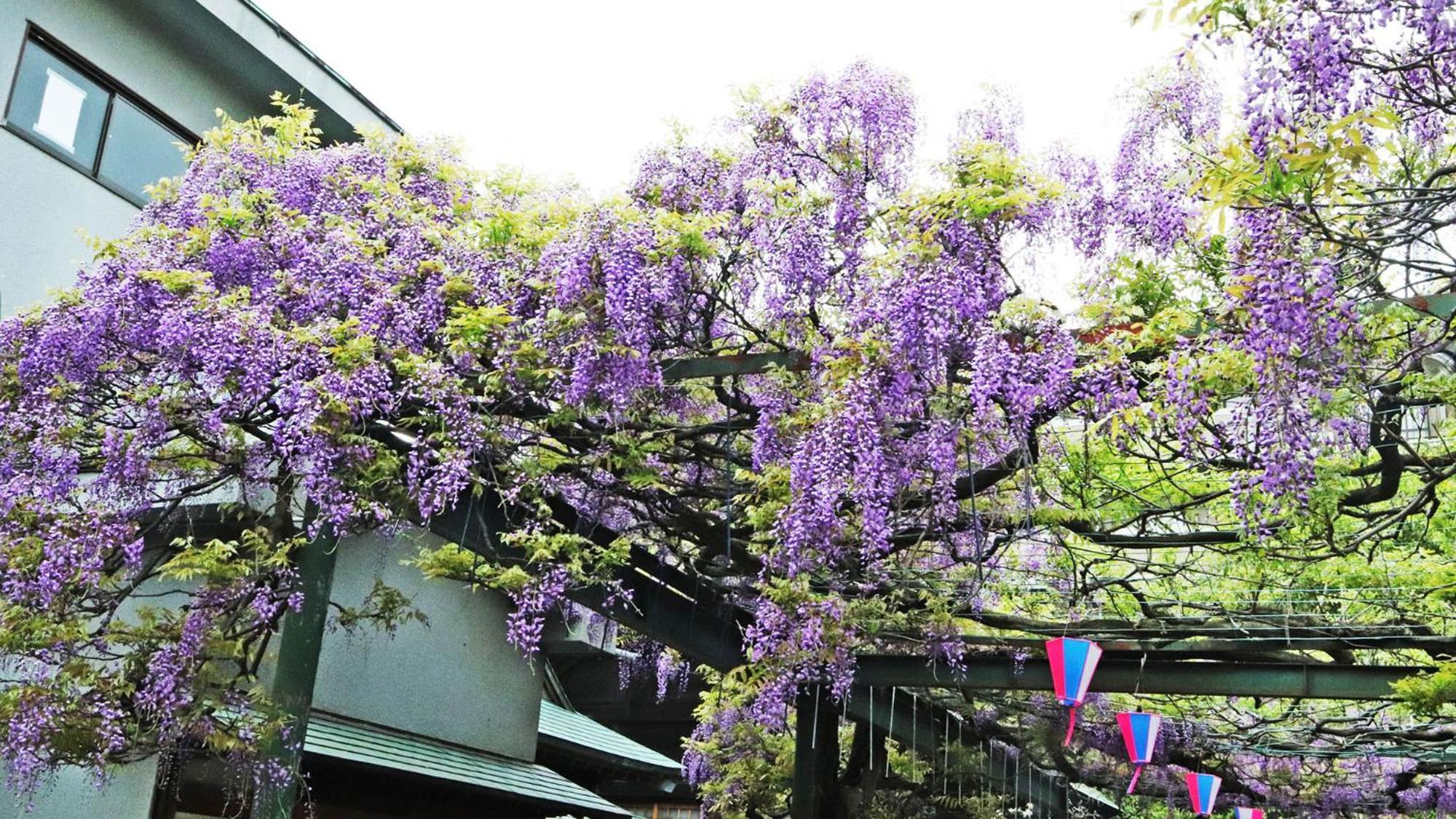 Toyoko Inn Chofu Keio Sen Fuda Eki ภายนอก รูปภาพ